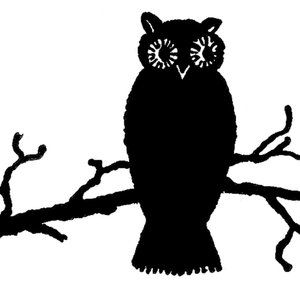 Meet your Posher, Jen